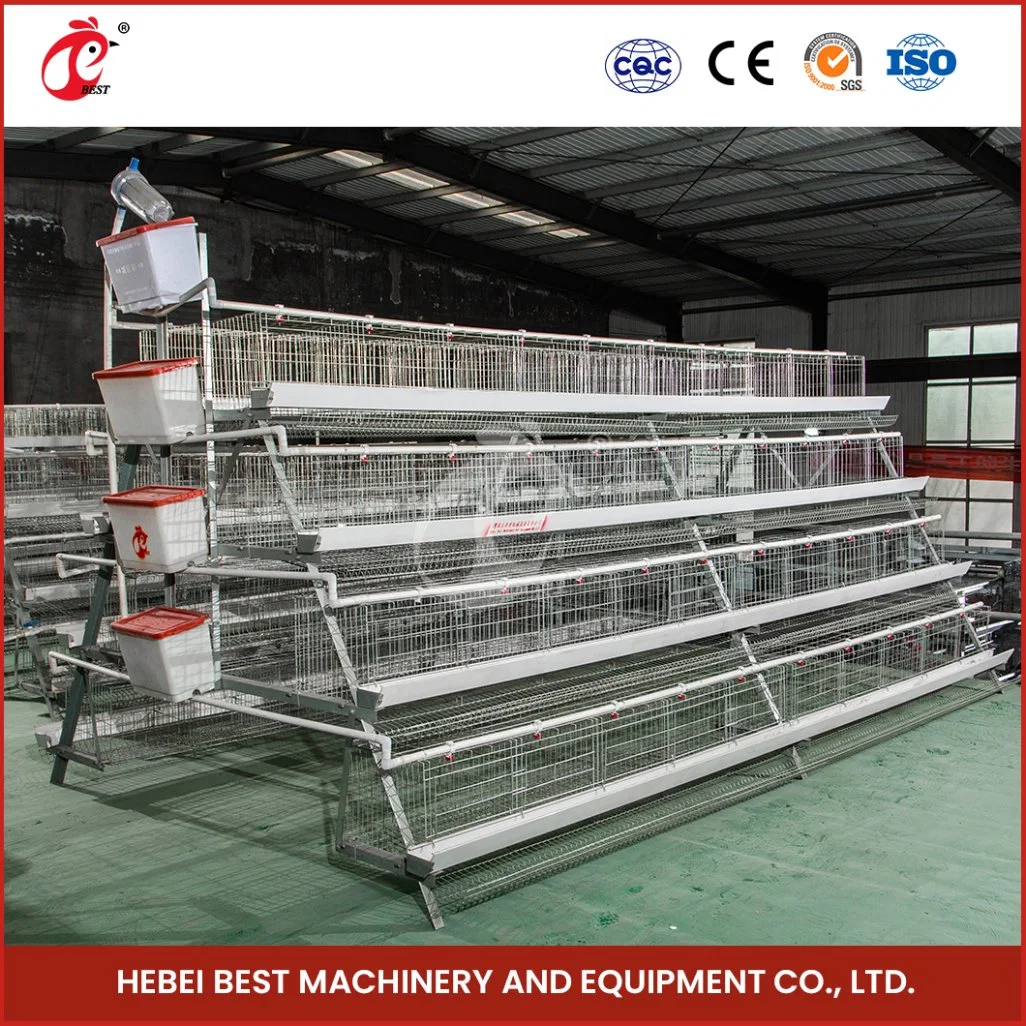 Bestchickencage a Type Layer Cage China Gamefowl Layer Cages Factory Wholesale/Supplier Chicken Broiler Layer Cage Configuration Electric Chicken Coop Door