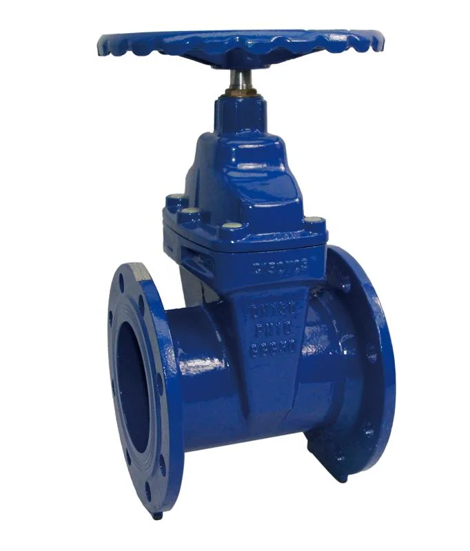 Pn25 Cast Iron Gate Valve Non Rising Stem