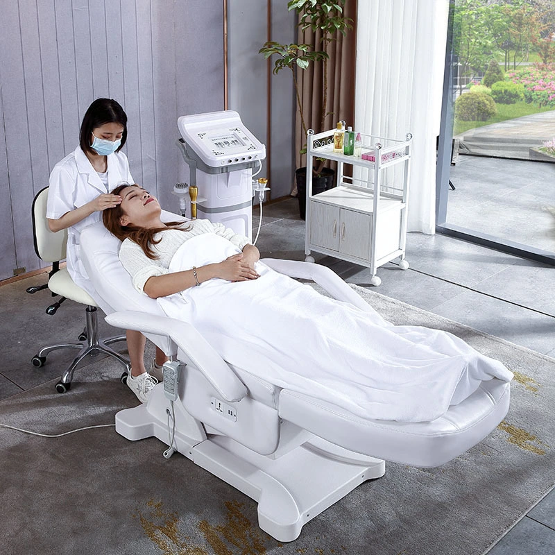 Fs8828-B Elegant Health Care SPA Facial Bed Massage Bed Multi Purpose Electric Beauty Bed