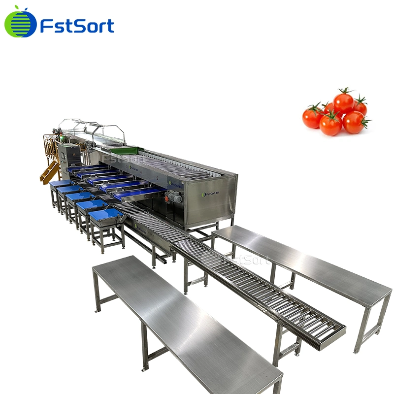 Cherry Tomatoes Grading Sorting Machine Adjustable Size Roller Classifier Cherry Tomatoes Processing Equipment