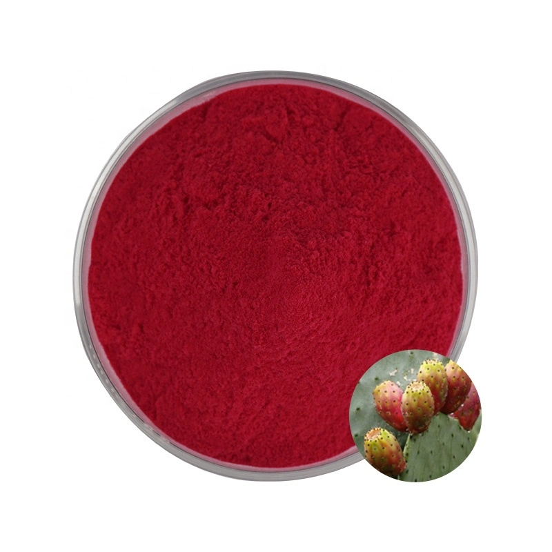 Natural Prickly Pear Cactus Extract Powder 100% Pure Plant Extract