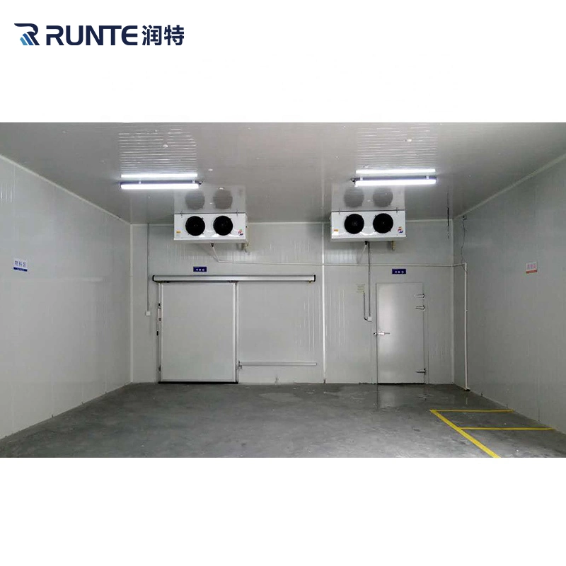 Runte Brand Condensing Units Blast Freezer -30 Degree ~+5 Degree Frozen Meat Fish Vegetables Fruit Cold Storage Room