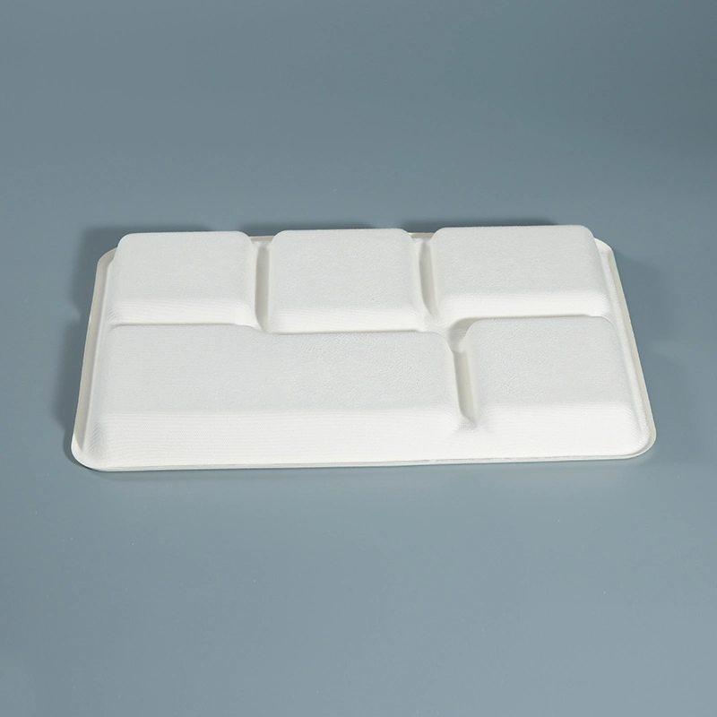 Sugarcane Pulp Disposable Degradable Serving Storage Kids Food Trays