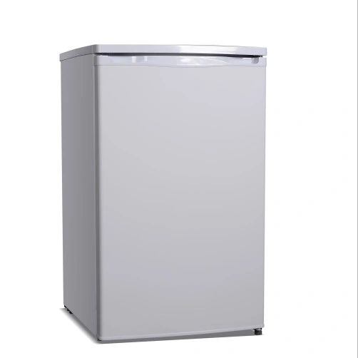 101L Congélateur à porte simple sans réfrigérateur Vertical Compact Porte en mousse Bd-110