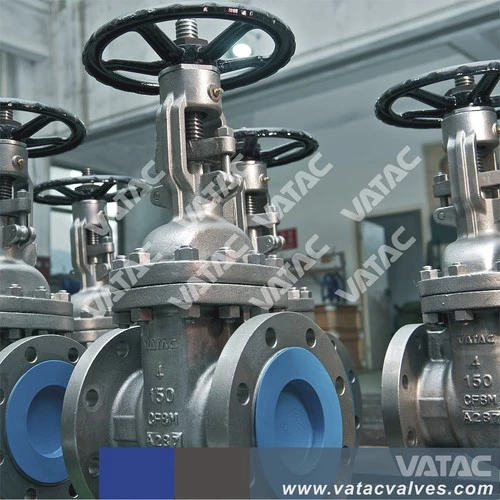 CS/Ss Cl150&300#&600lbs Flanged R. F/F. F/R. T. J Gate Valve