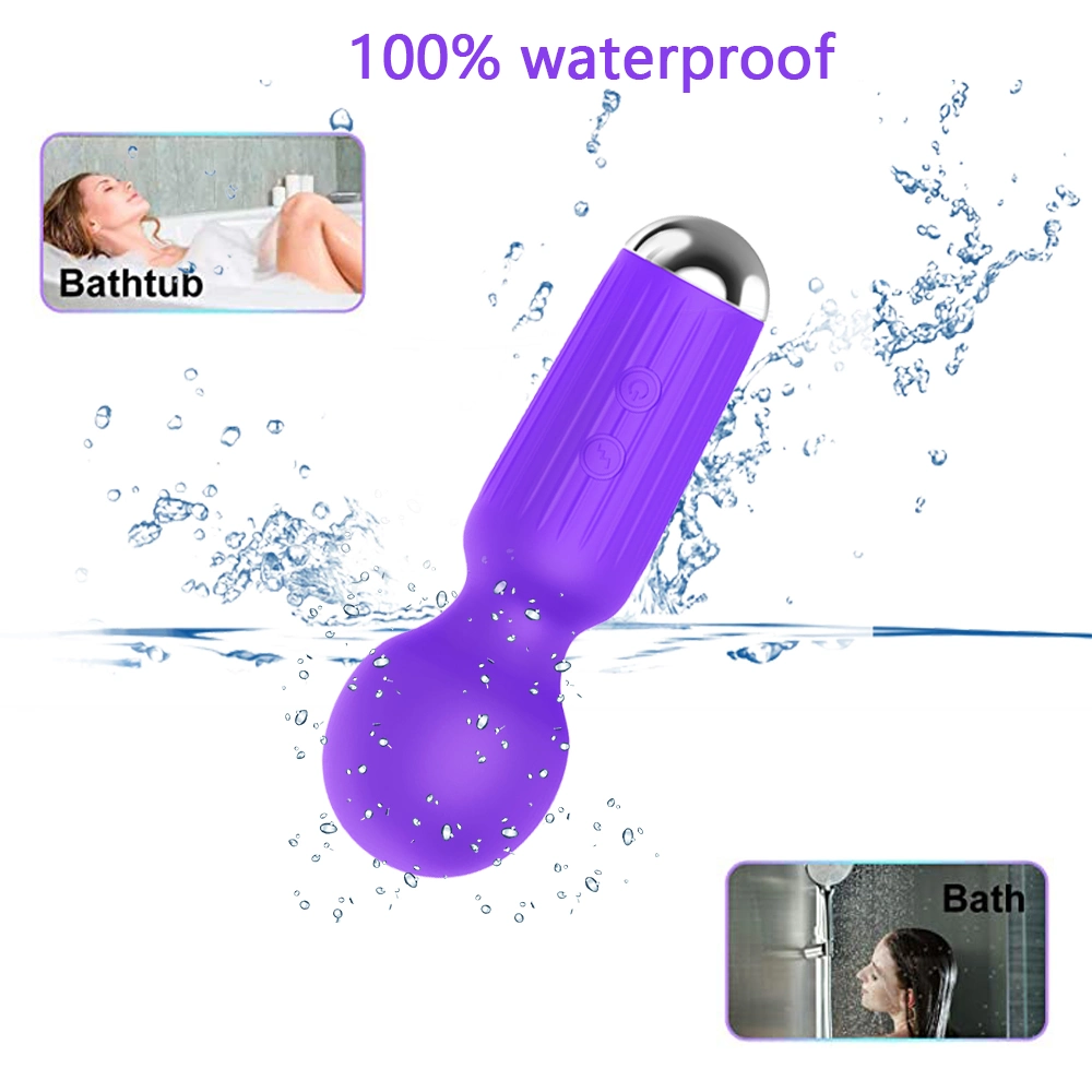 Wholesale/Supplier Lovely Dolphin AV Rod Strong Vibrator Wand Massage Sex Toy for Women