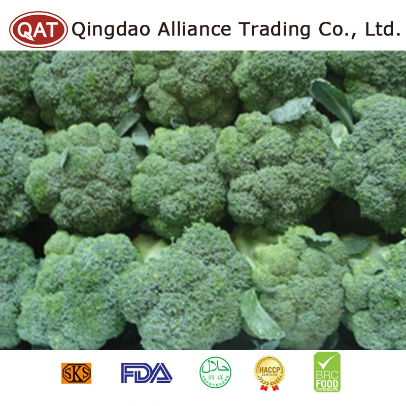 Top Quality Wholesale/Supplier Bulk Packing Fresh Whole Broccoli with Brc HACCP FDA