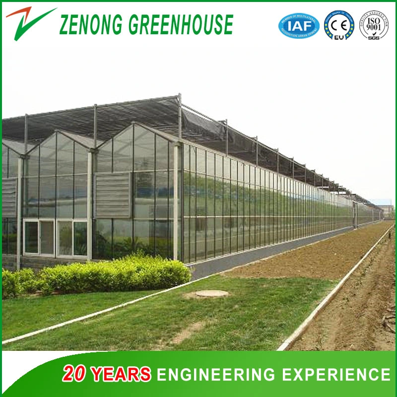 Modern Design Glass Greenhouse with Hot Galvanized Steel Framework Used for Agriculture/ Stock Farming/ Aquaculture/ Restaurant/ Scientific Research