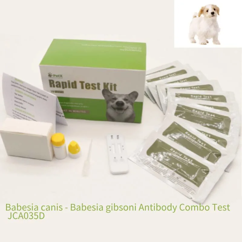 Babesia Canis - Prueba combinada de anticuerpos Babesia gibsoni Babesia Canis Tratamiento