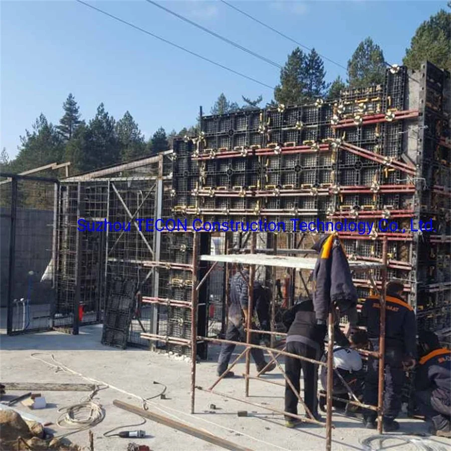 Tecon Reusable Plastic Wall and Column Formwork for House