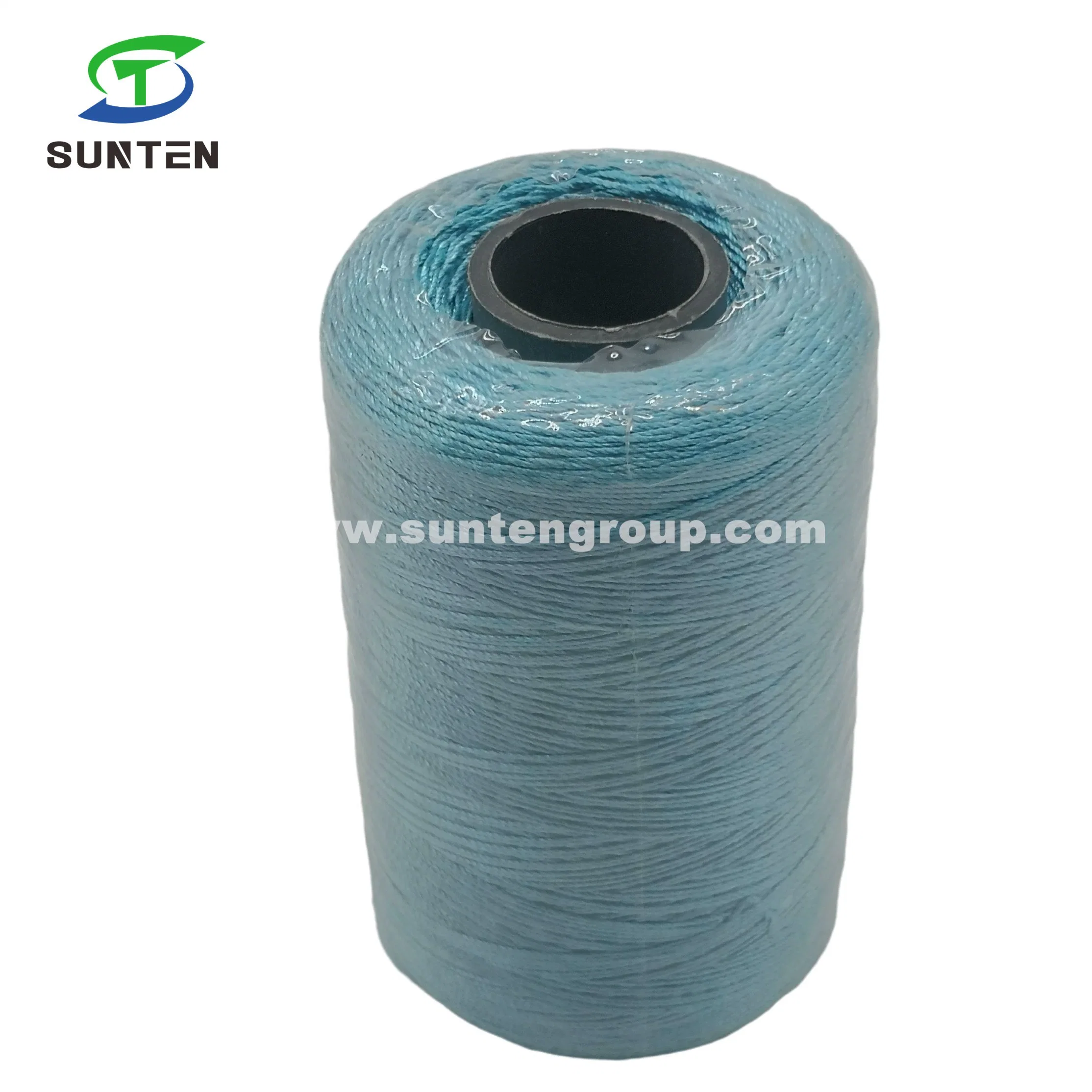 Factory Price High Tenacity PE/PP/Polyester/HDPE Nylon Plastic Twisted/Braided/Baler/Thread/Packing Line/Fishing Net Twine (210D/380D) by Spool/Reel/Bobbin/Hank