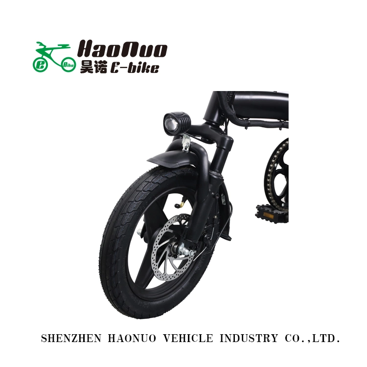 14 Inch 48V 350watt Fold Product Electric Bike