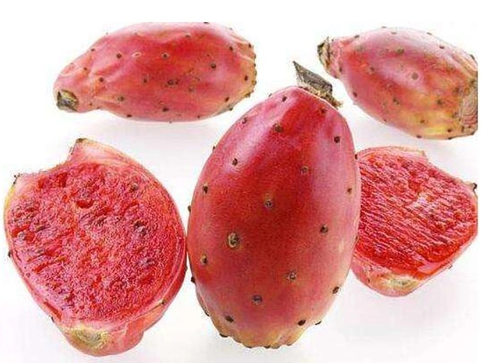 Supply High quality/High cost performance  Prickly Pear Fruit Extract Powder/ Cactus Fruit Extract Powder