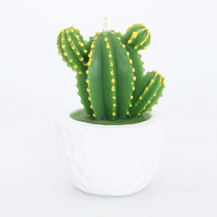 Custom Creative Paraffin Succulent Plant Cactus Candle