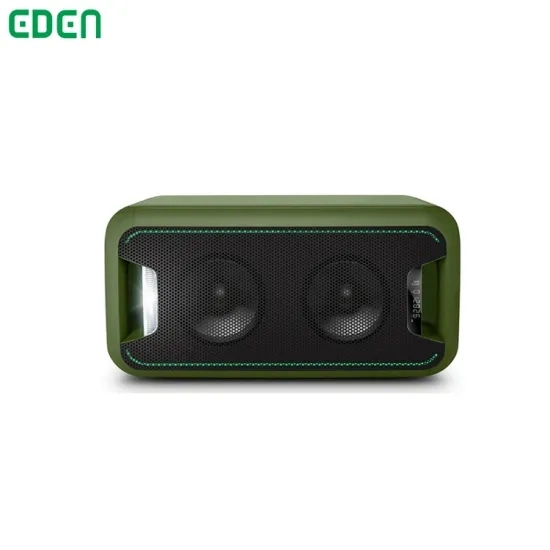 Professional Audio Wireless Bluetooth Portable DJ Karaoke Party Speaker ED-502