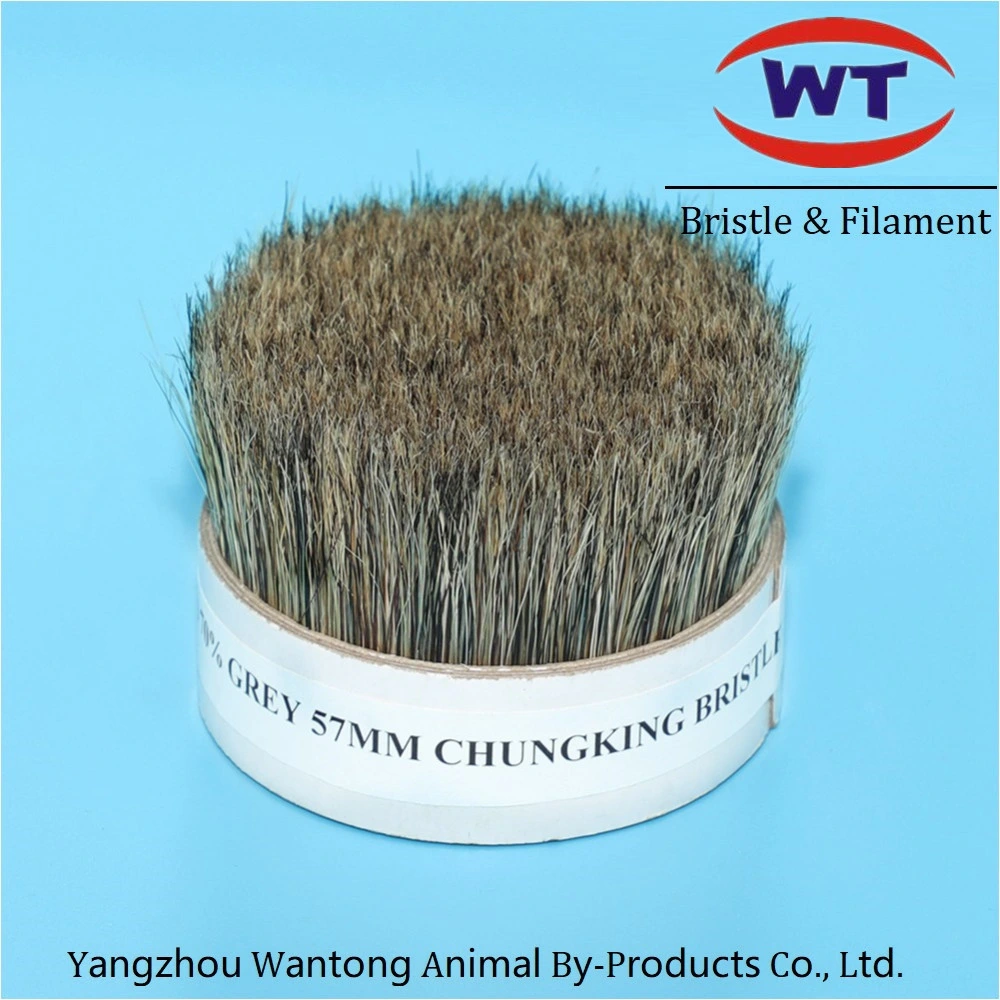 Chungking Natural Grey Pure Boiled Bristles for Brushes