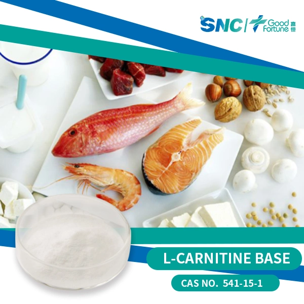 Best Price 99% L-Carnitine Base Bulk L Carnitine Powder CAS: 541-15-1 Chemical Food Grade Additive White Crystals China Factory Supply