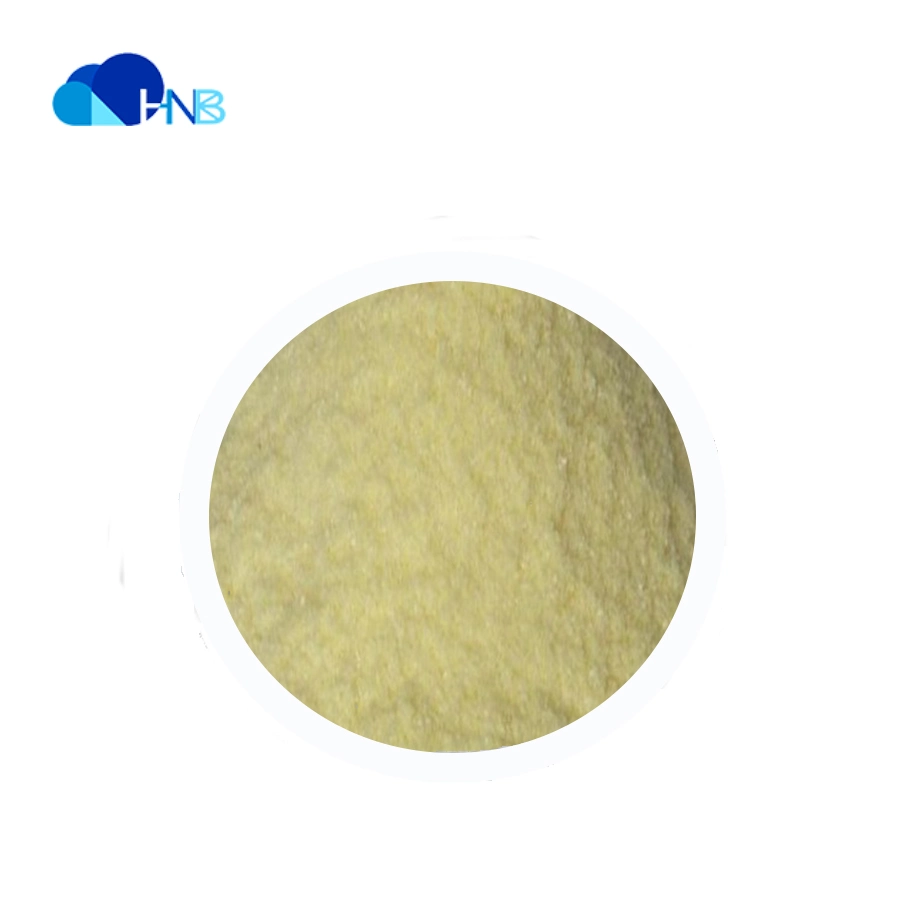 ISO Factory Supply Food Grade Lactic Acid Bacteria Lactobacillus Powder