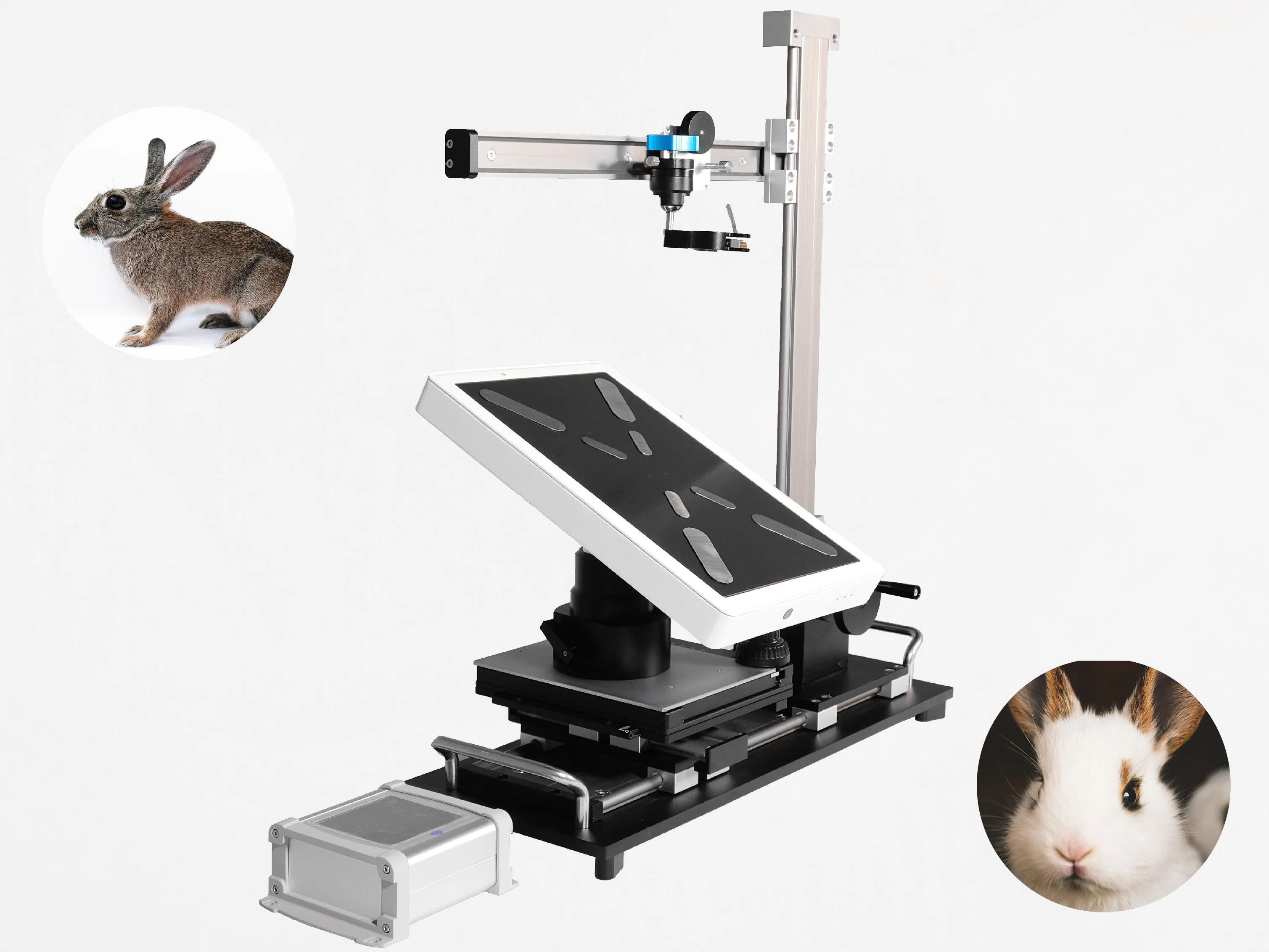 C/PW Mode Handheld Ultrasound Scanner for Laboratory Animals