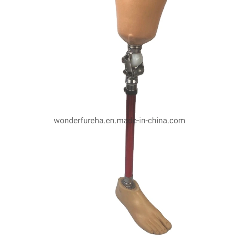 Fabricante, proveedor Prótesis Prótesis prótesis de pierna