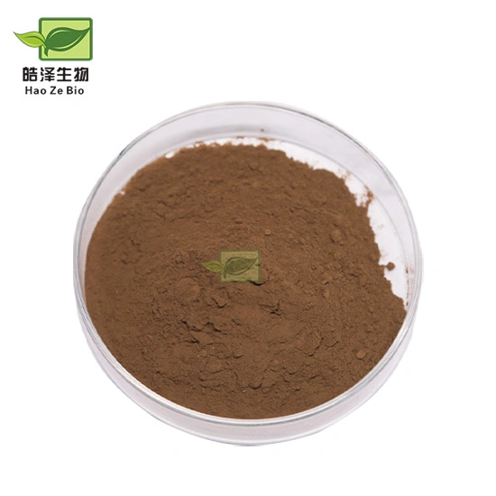Natural Azadriachta Indica Leaf Extract Neem Seeds Extract Powder