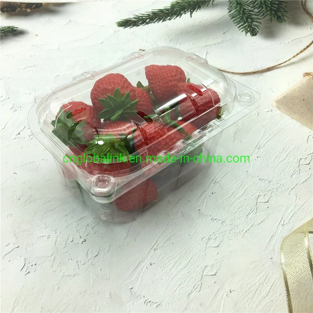 Disposable Plastic Blister Clamshells Fruit Packing Punnets Tomatoes 250 Grams Plastic Packaging