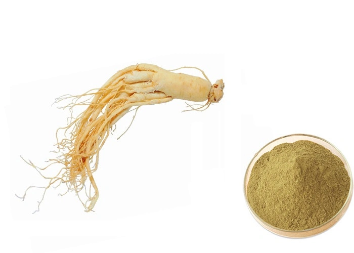 Experience The Health Benefits of Panax Ginseng C. a Mey with World-Way Biotech's Extract