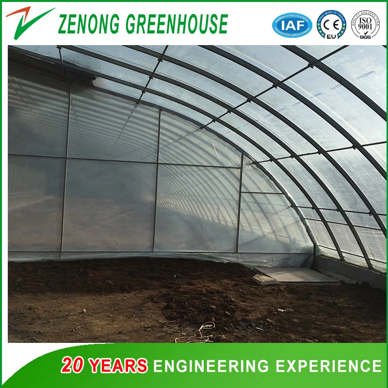 Hot Sale UV Coated Po Film Covered Solar Greenhouse with Favorable Price