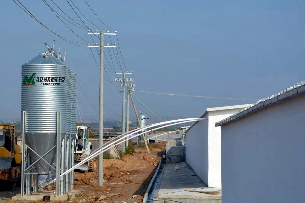 Caixa de aço galvanizado espessado para sistema de alimentação automática de gado