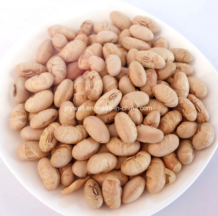 No Coloring Salted Roasted Soybean Healthy Snacks