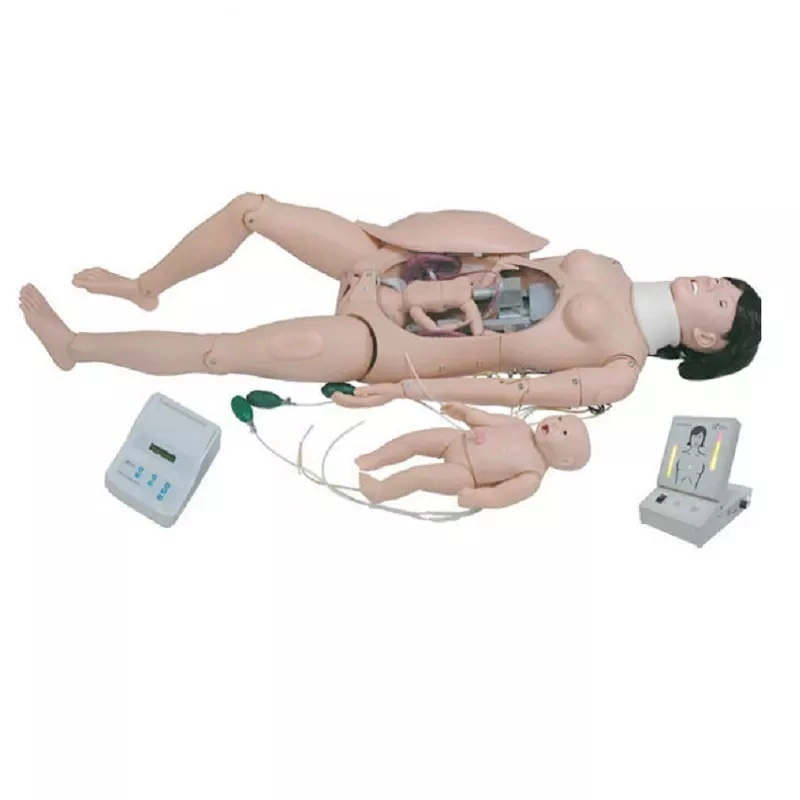 Медицинское оборудование для обучения высокопоставленных родов мать и сын First-Aid модели