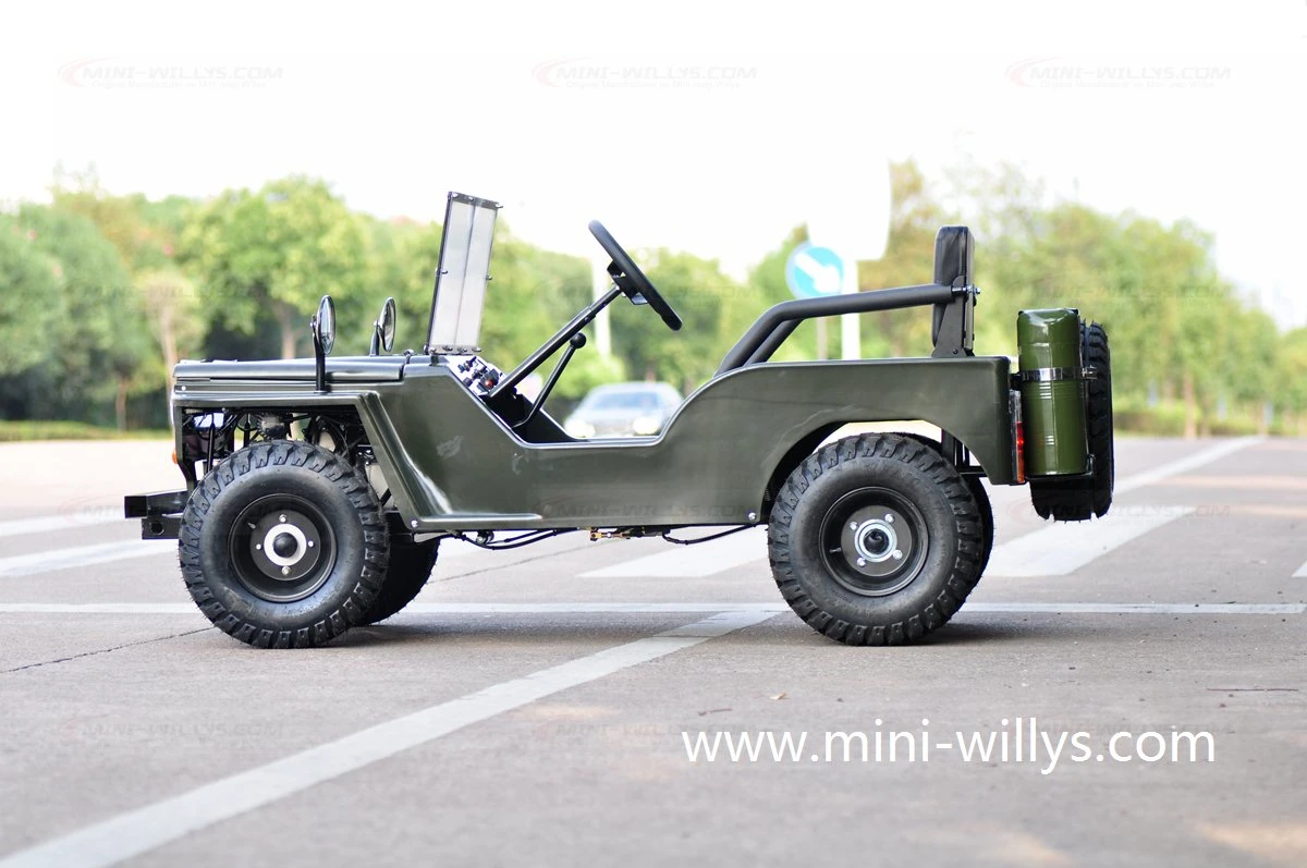 Fabrik Direktkauf hohe Qualität Hot Selling Erwachsene 150cc 200cc Mini Willys Toyota Jeep