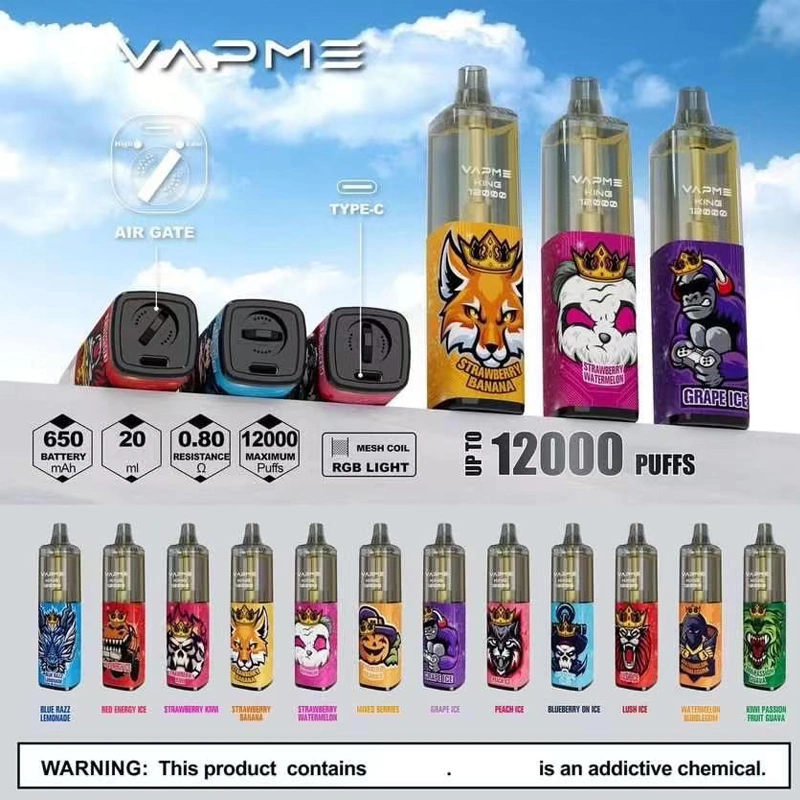 مصنع المعدات الأصلية بالجملة Vape Randm Tornado 10000 Vapme 12000 أطواق قلم سجائر E قابل لإعادة الشحن