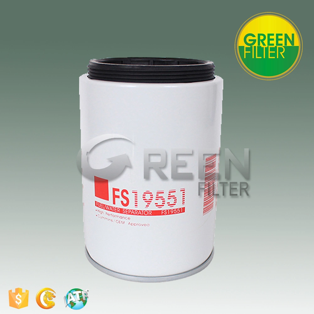 Fuel Filter for Car Diesel Engine (FS19551)