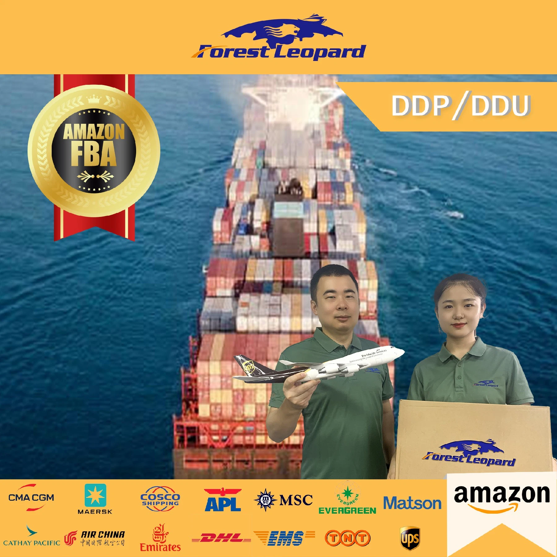 Freight Forwarder to USA/UK/Italy/France/Nl /Germany Fba Amazon by Air Freight Shipping From China DDP Door to Door Service