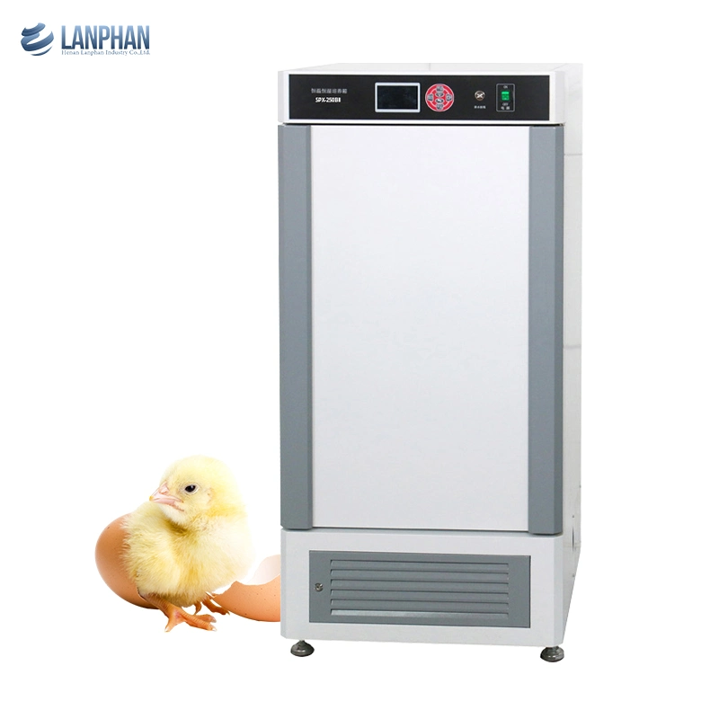 Microbiological Mould Cultivation Thermostat Biochemical Incubator Machine for Sale