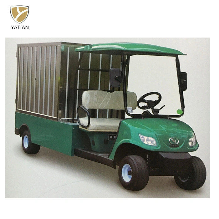 2 Lugares utilitário elétrico carrinho de golfe com caixa de Prateleira amovível para transporte