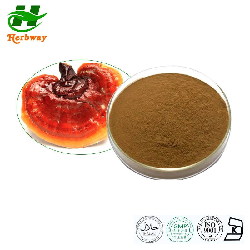 Herbway Reishi Extracto de setas Ganoderma Lucidum (Leyss ex Fr.) Productos para el cuidado de la belleza del extracto de karst para las mujeres