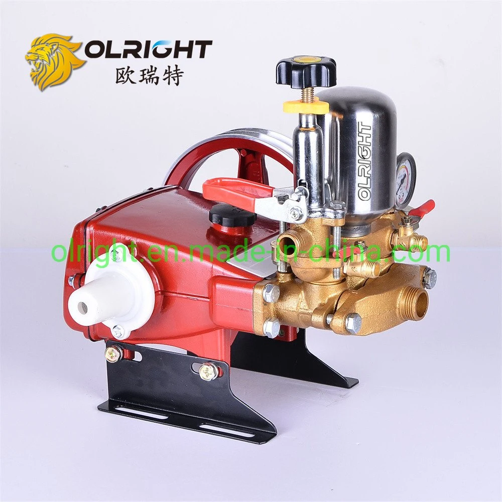 22bar High Pressure Gasoline Plunger Pump for Car Washer Machine Power Sprayer