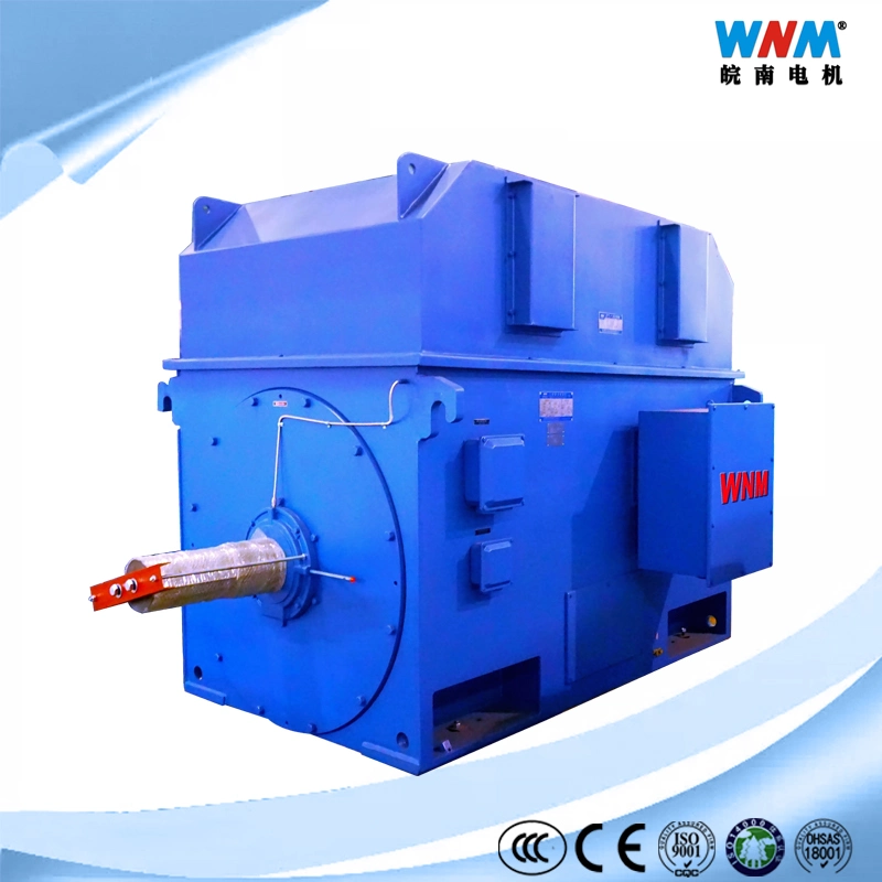 IEC Standard High quality/High cost performance  Premium Efficiency Three Phase Induction AC Motor Drive in Electrical Control System for Cements Mining Food Plant Textile