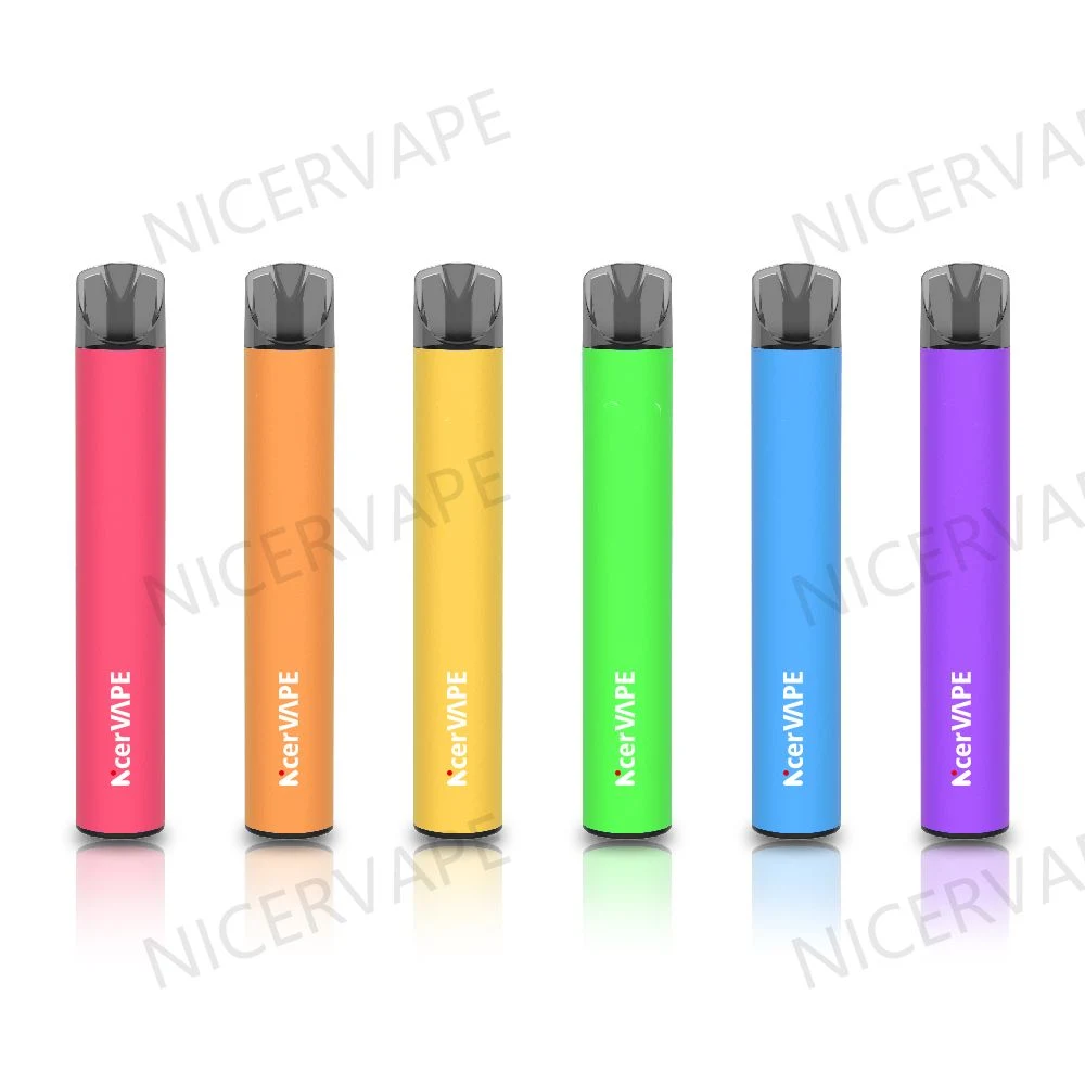 Bebida energética sabor a fruta Mini Cigarro Eletrônico 600 Puffs Vape grossista de feltro