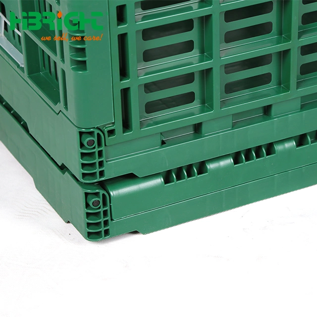 Inner Size960 360 320 mm PP Foldable Carton for Moving Transport Fresh Cut Flower