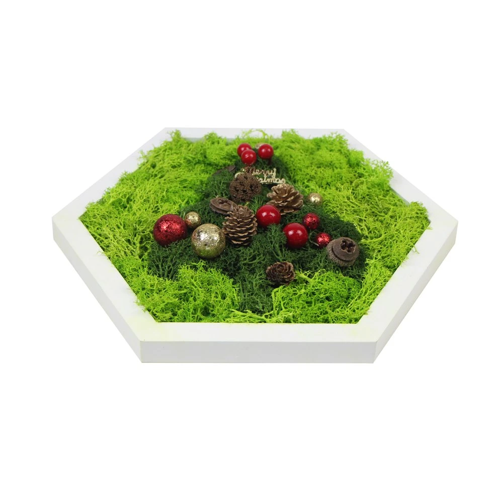 DIY Home Living Room Decoration Handmade Preserved Moss Frame for Christmas