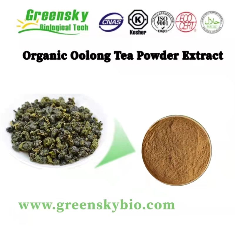 Venta caliente Extracto de té de Oolong soluble en agua polvo té instantáneo Polvo