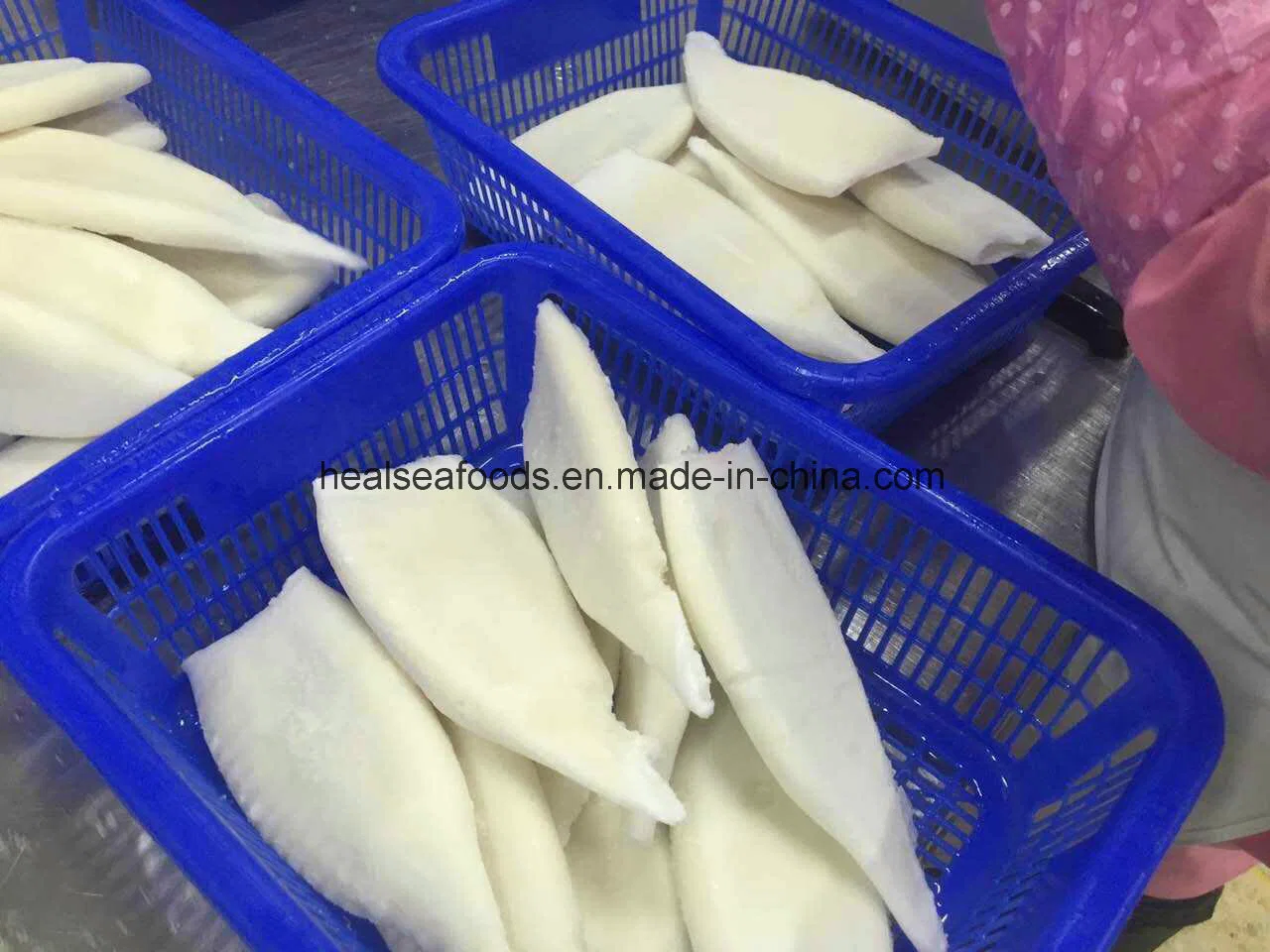 Frozen Squid Tube From Taiwan Vessel