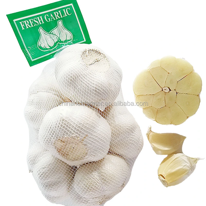 Fresh Garlic High quality/High cost performance Egyptian Purple Red Garlic Pure White Garlic 5.0 Cm