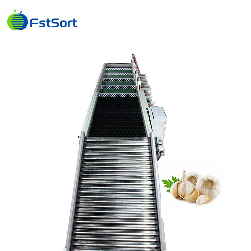 Hohe Effizienz Automatische Knoblauchbrechung Peeling Sortiermaschine Knoblauch Reiniger Maschine Knoblauch Waschmaschine zum Verkauf