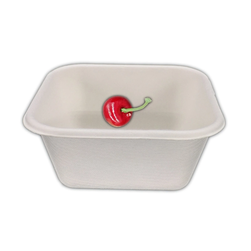 Biologisch abbaubare Lebensmittelverpackung Bagasse 250ml Square Box, Zuckerrohr Dinner Box