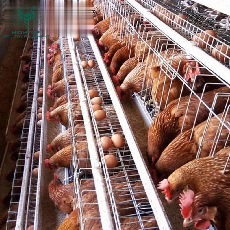 Manufactory Hightop Brand Multiple Tiers Salt Corrosion  Chicken Layer Cages For Poultry Farm