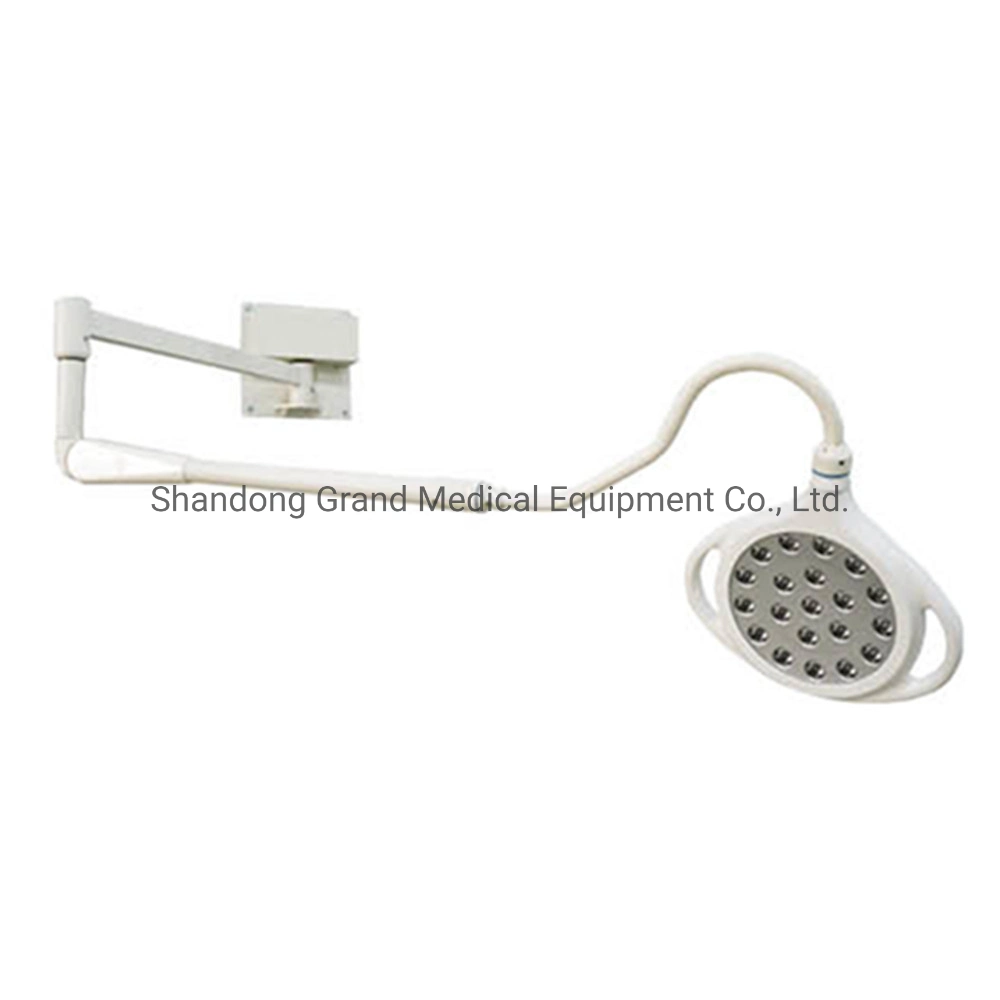 Medical Equipment Surgical Examination Light Hospital Equipment